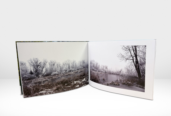 Buch Naturinsel Höchstern Bilderseite